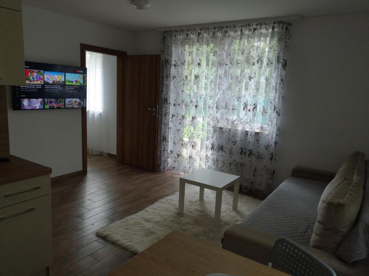Kristinos Apartment Druskininkai Exterior foto